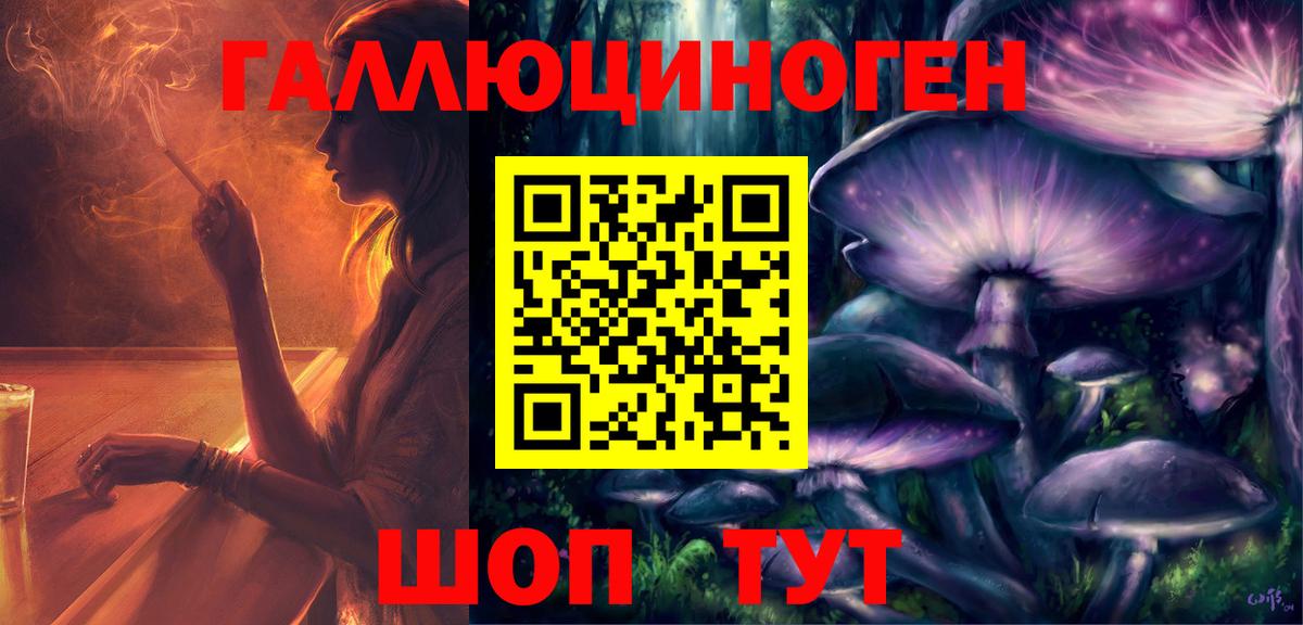 Чистополь  наркотики  Вход с VPN  Псилоцибиновые грибы Magic Shrooms 