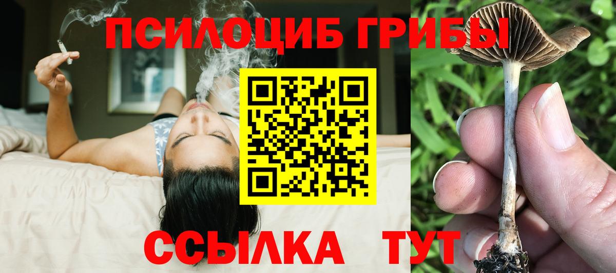Галлюциногенные грибы ЛСД Чистополь